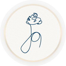 ff breast icons | Form & Face